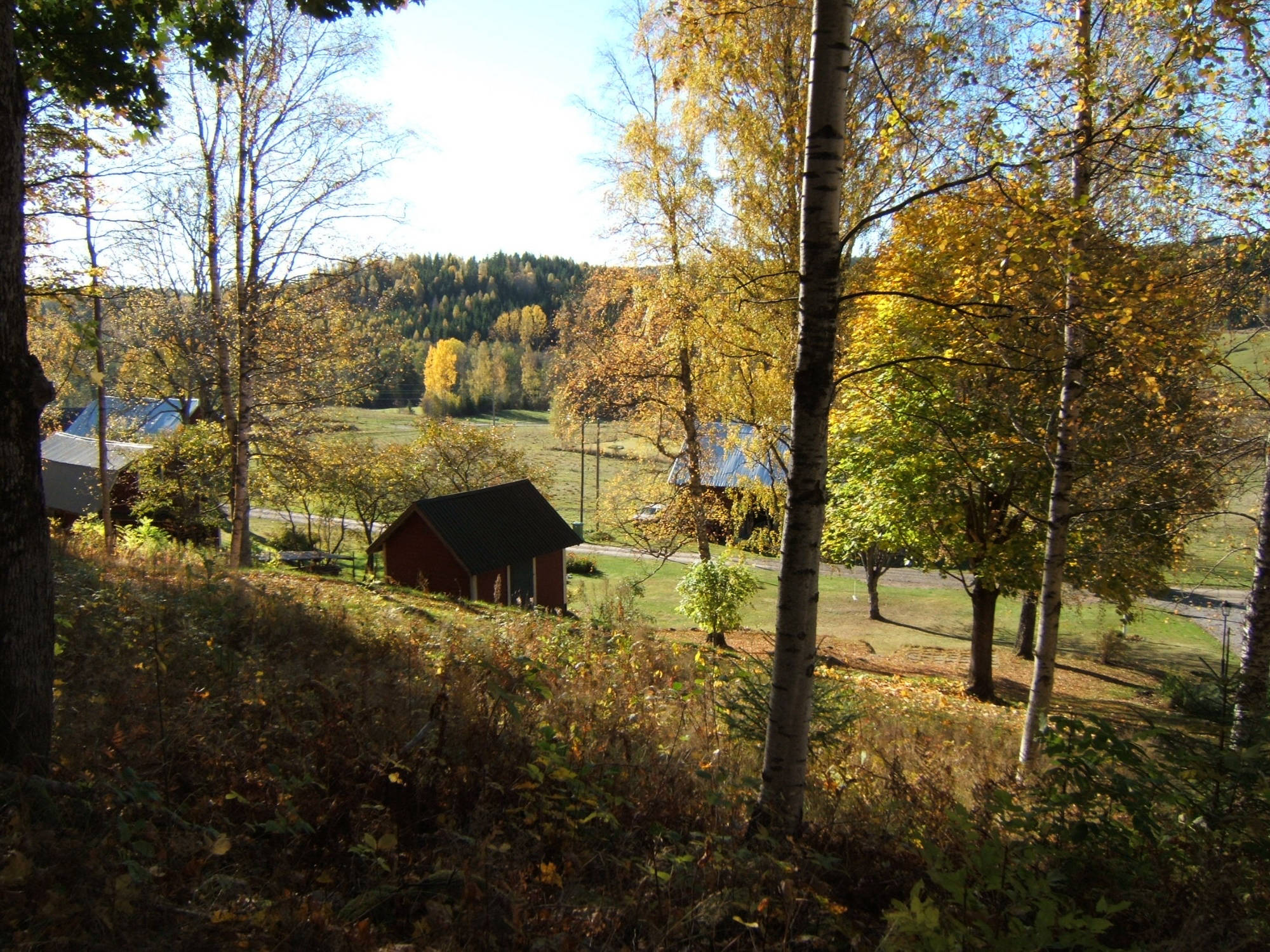 herfst